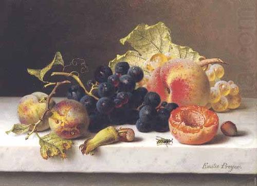 Johann Wilhelm Preyer Grapes peaches and plums on a marble ledge china oil painting image